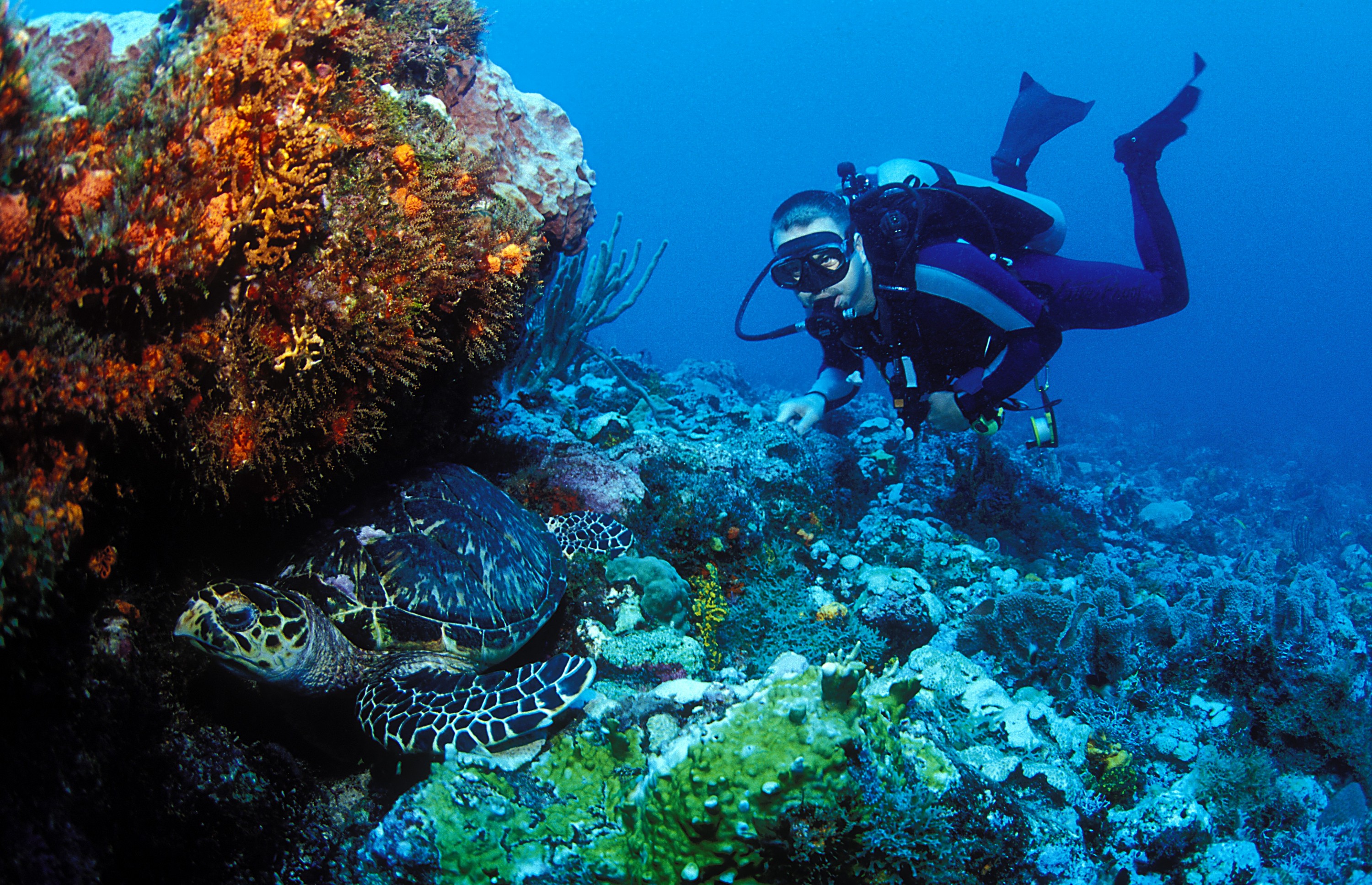 Villas to rent in Grenada Diving Grenada