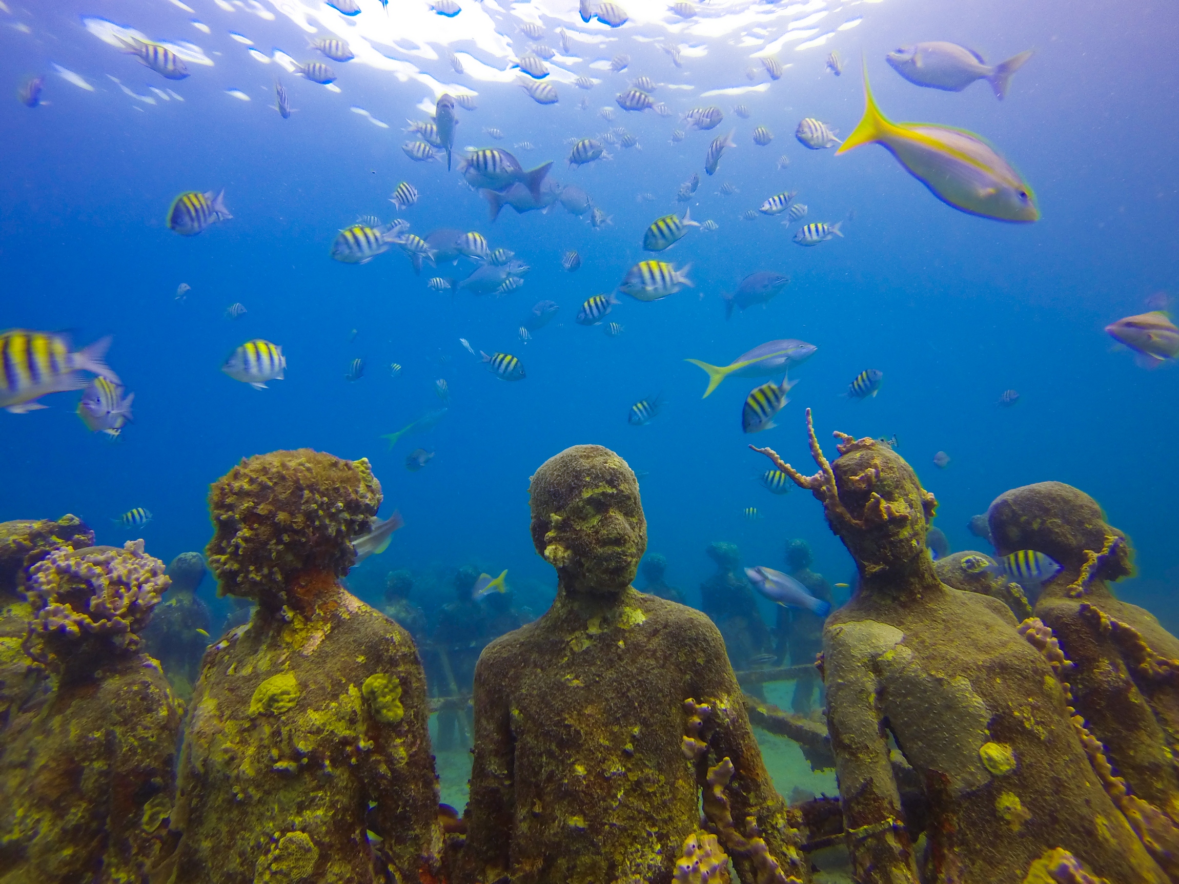 Villas to rent in Grenada Underwater Sculpture Park, Grenada