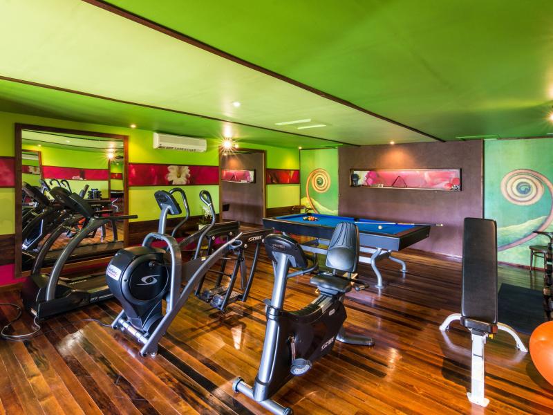 Tree Frog , Prickly Bay  