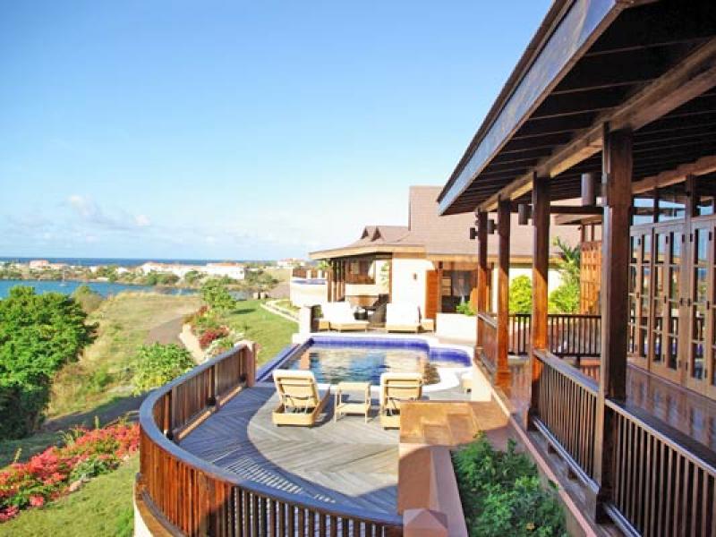 Tree Frog , Prickly Bay  