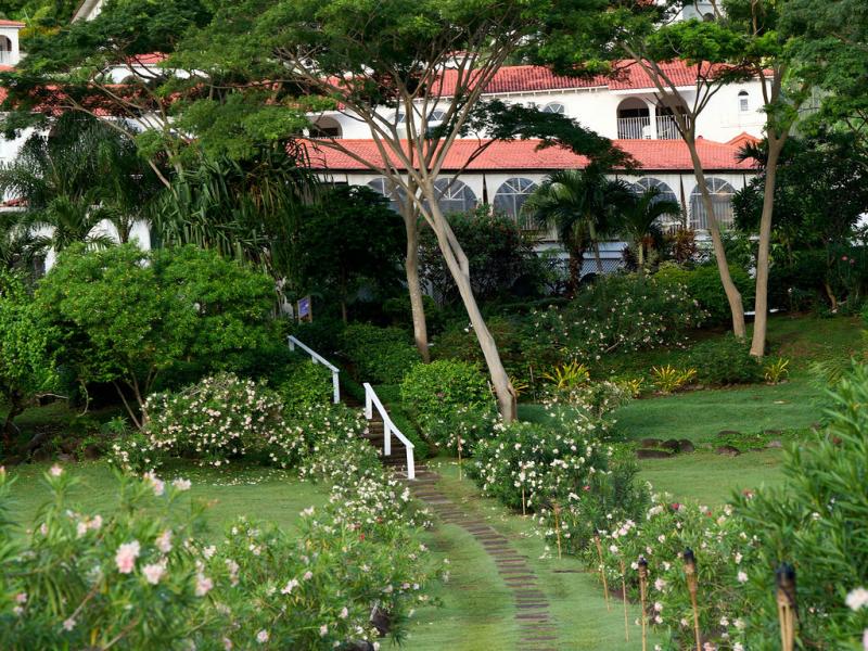 Mount Cinnamon , Grand Anse , St Georges  
