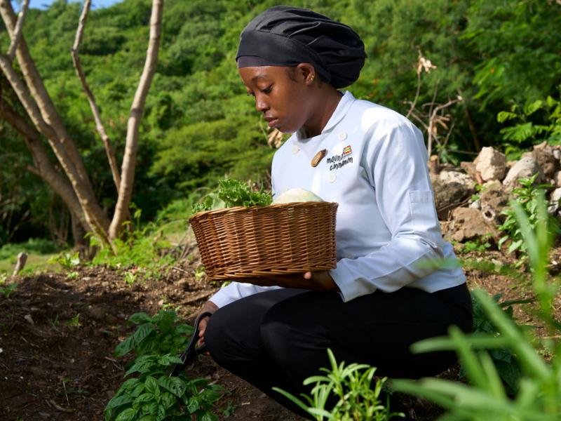 Mount Cinnamon , Grand Anse , St Georges  
